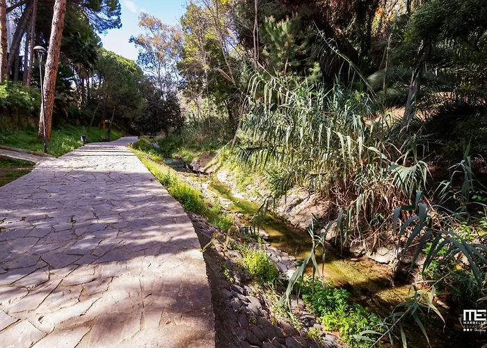208, Close To The Beach, 2 Bedroom,golden Mile Apartment